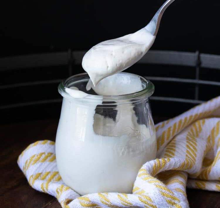 The Complete Guide to Making Plant-based Dairy Products at Home